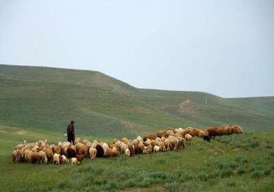 دشت مغان