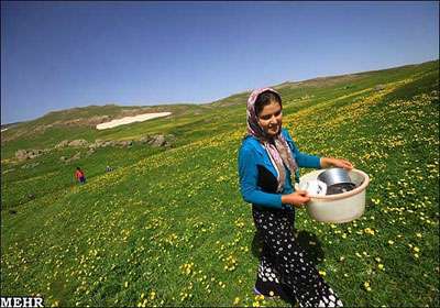 دشت مغان
