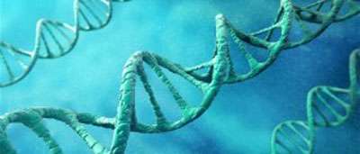 پردازش rna یوکاریوتی 1