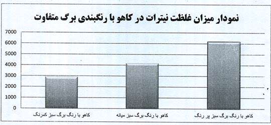 تقدیری متوسطه 1 بانو امین، نیترات در کاهو