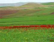دشت مغان