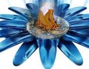 امام رضا