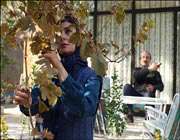 اوضاع ناخوش فیلم ها