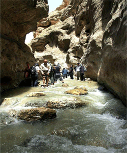طبیعت ایران