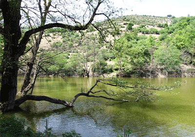 طبیعت ایران