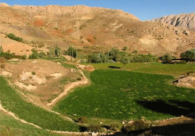 فیروزکوه