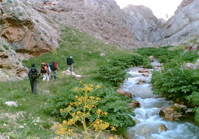 فیروزکوه