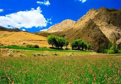 فیروزکوه