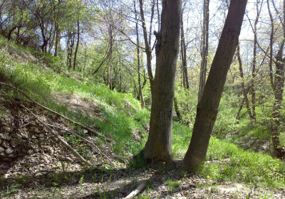 روستای کندوله