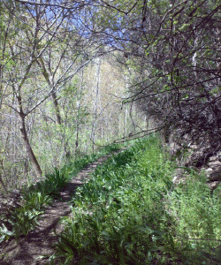 روستای کندوله