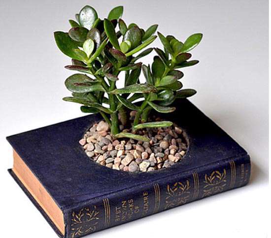 طرح جلد کتاب