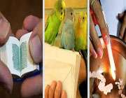 روایات در مورد فال گرفتن چه می گویند؟! روایات در مورد فال گرفتن چه می گویند؟!