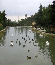 باغ پرندگان تهران