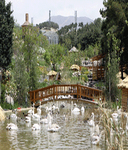 باغ پرندگان