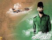مادر شهید بابایی در کنار فرزندش ماندگار شد