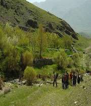 طبیعت