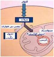 فواید و ضرر باکتری ها