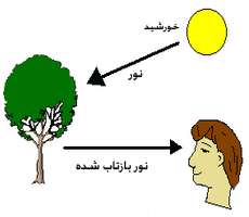 نقش نور در قدرت دیدن ما