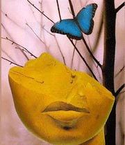 زیبایی