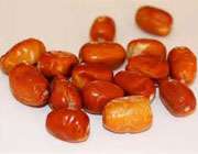 سنجد