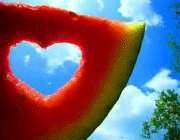 هندوانه