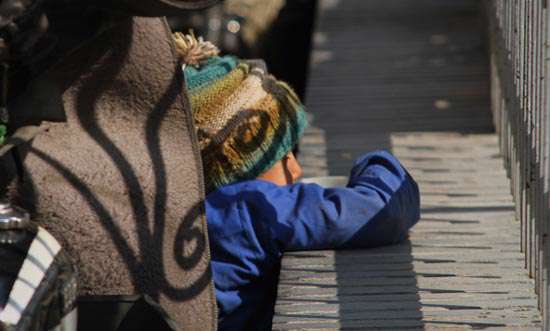 نان آوران کوچک+ تصاویر