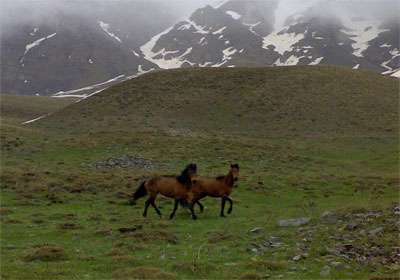 روستای اوز