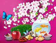 آرزوهای شیرین همسان گزینی در سال 94 آرزوهای شیرین همسان گزینی در سال 94
