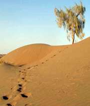 اردوهای کویری