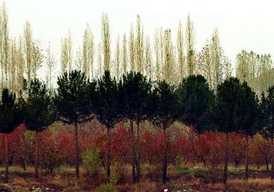 روستای کردان