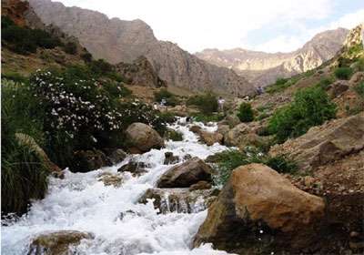 چشمه میشی