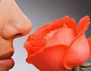 حس بویایی