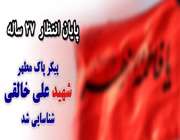 شناسایی دو کبوتر بال گشوده