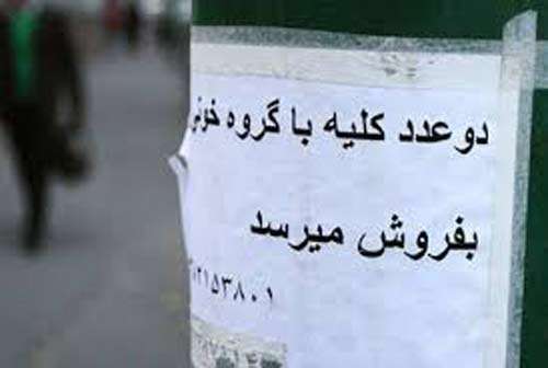کلیه