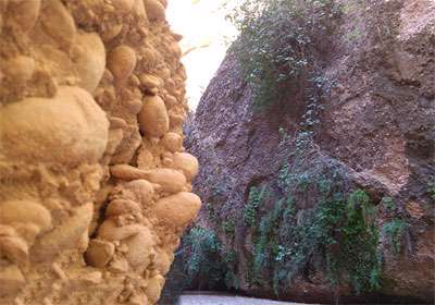 کول خرسان