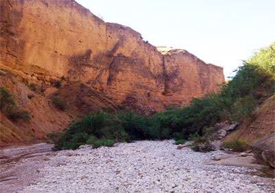 کول خرسان