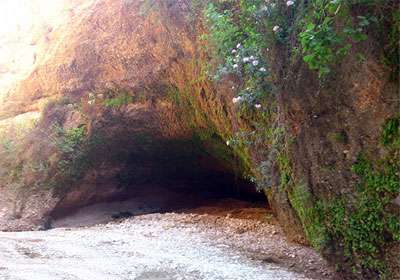 کول خرسان
