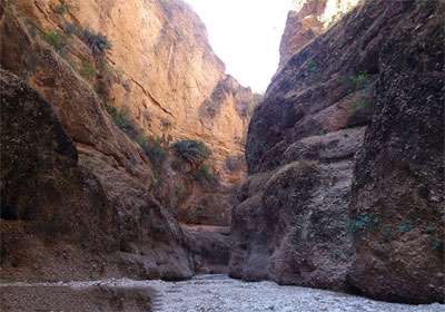 کول خرسان