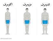تیپ بدنی