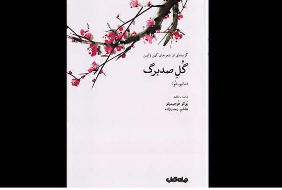گل صدبرگ