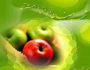 روزه