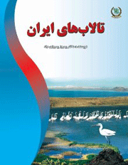 راز مهاجرت پرندگان- جلسه چهارم