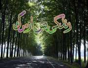 زندگی پس از مرگ