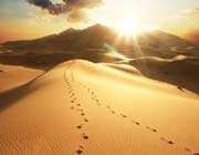 کویر ، عشق ، ردپا