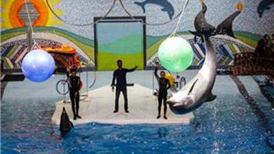 عکس پارک دلفین های تهران برج میلاد