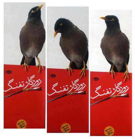رمان «روزگار تفنگ