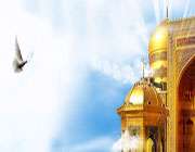 امام رضا علیه السلام را فقط برای حاجت نخواهیم !! امام رضا علیه السلام را فقط برای حاجت نخواهیم !!