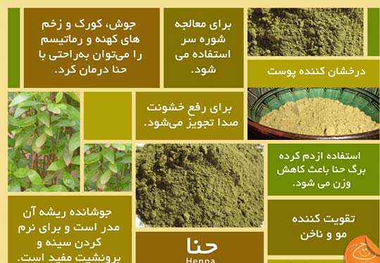 عصاره گیاه حنا در تهیه پماد سوختگی
