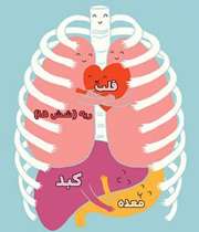 دستگاه تنفسی