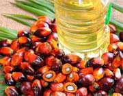 بایودیزل تولید شده از روغن پالم